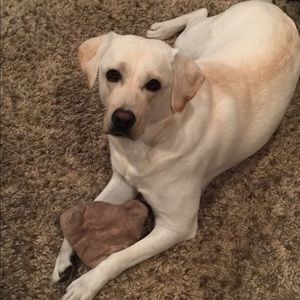 Meet your Posher, Bobbie jo